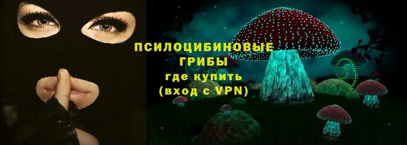 Галлюциногенные грибы Magic Shrooms  hydra маркетплейс  Александров 